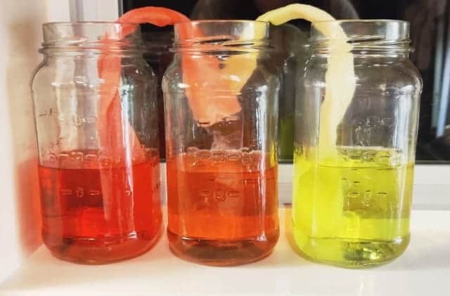 Kids science experiment Walking Colors