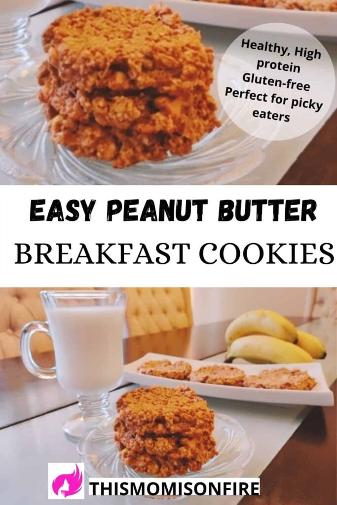 Easy Healthy One Bowl Oatmeal Peanut Butter Breakfast Cookies