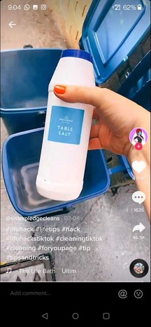A TikTok cleaning hack shows how to clean out garbage and recycling pails without getting the flies and maggots at the bottom