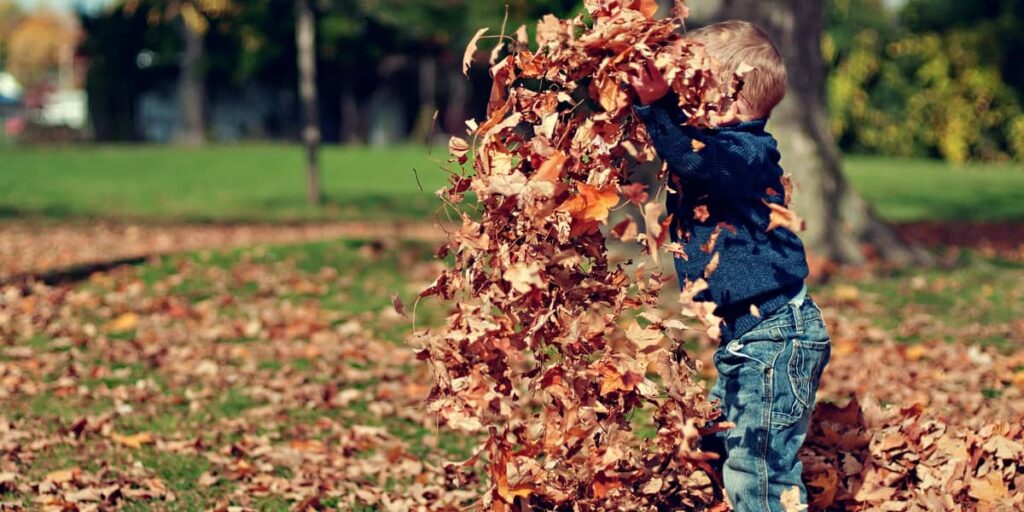 a boy playing in the fall leaves