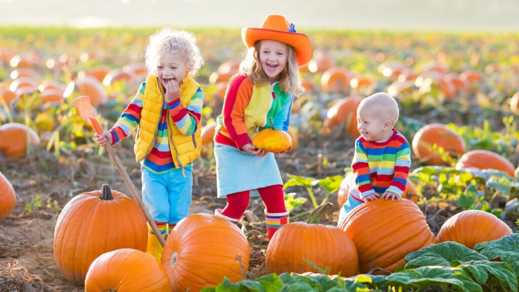Three kids playing in a pumpkin patch.