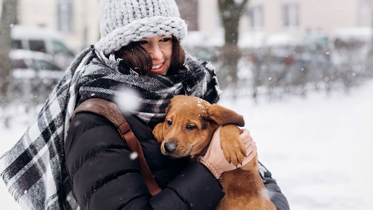 woman holding puppy in the snow