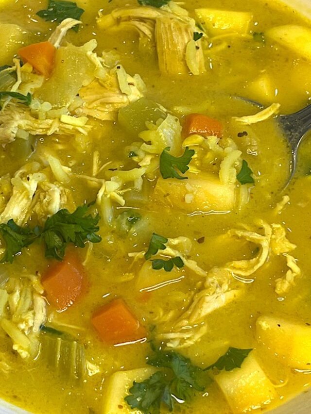 Delicious Chicken Mulligatawny Soup - This Mom is on Fire