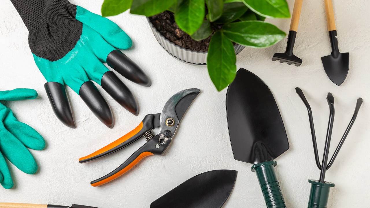 pruners, a small shovel, garden gloves and other garden tools. 