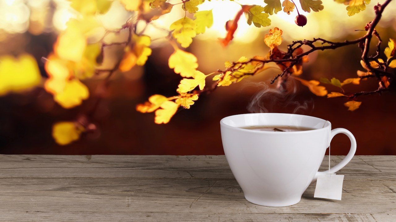 Cup of tea with tea bag