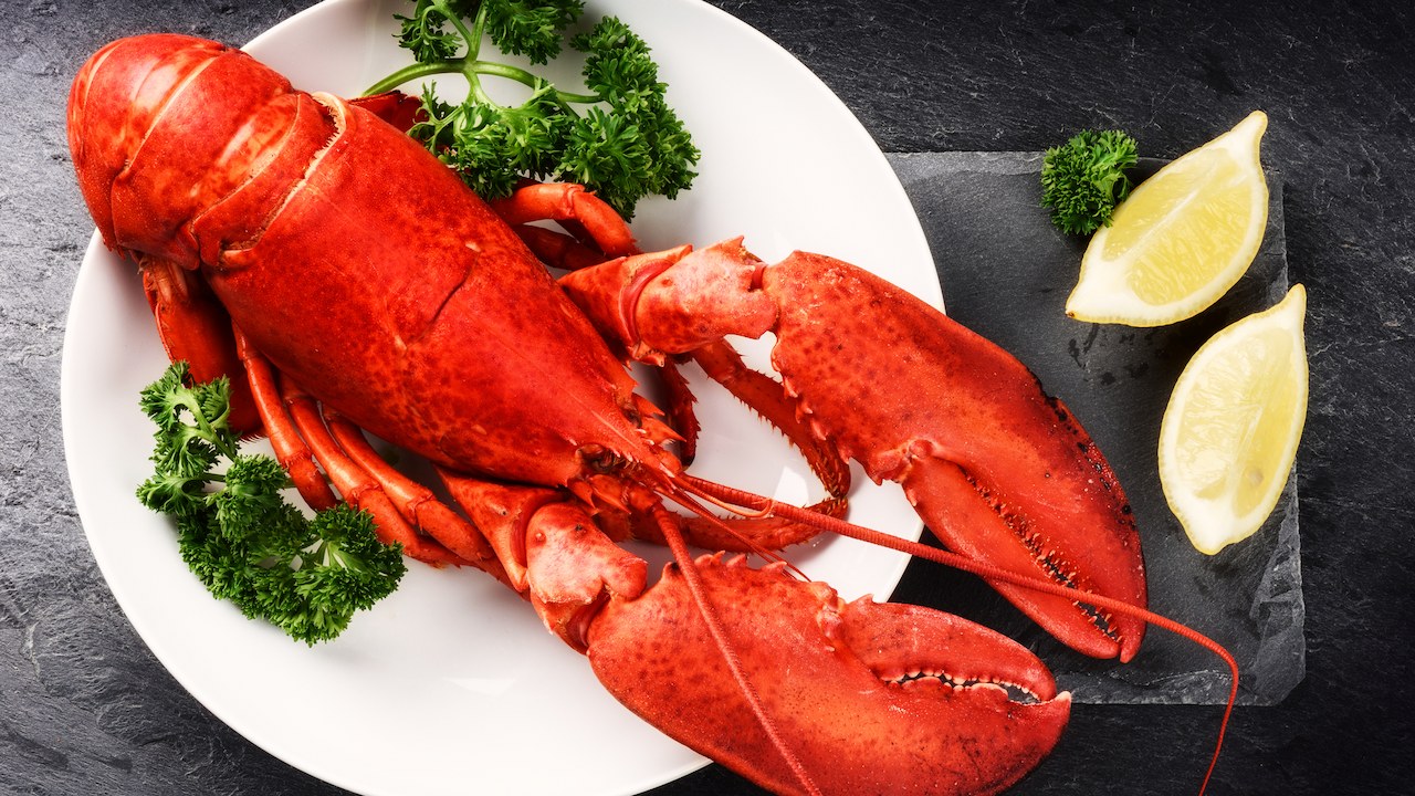 Cooked lobster in a plate