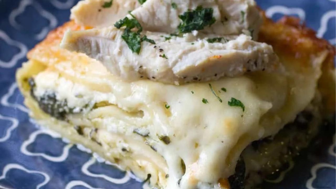 a piece of chicken alfredo lasagna